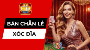 Giải Mã Bán Chẵn Bán Lẻ Xóc Đĩa: Cơ Hội & Cạm Bẫy
