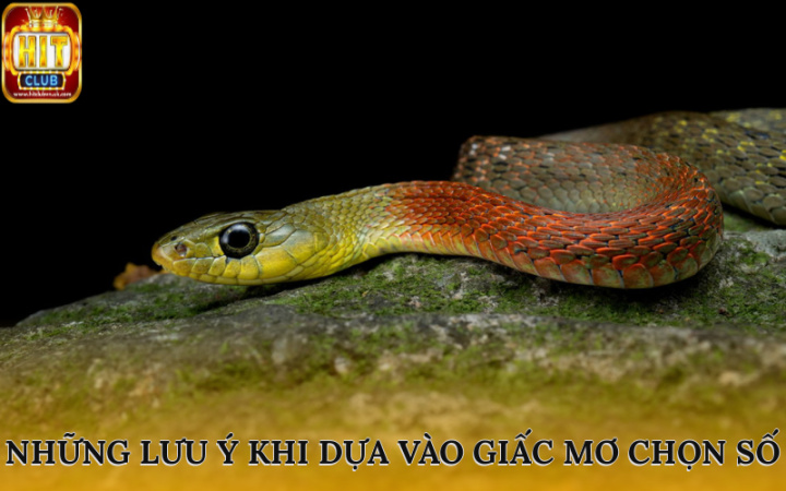 Những lưu ý khi dựa vào giấc mơ chọn số