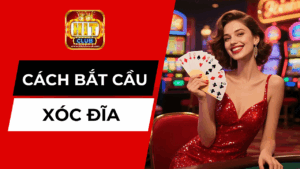 Cách Bắt Cầu Xóc Đĩa Hiệu Quả: Tìm Hiểu Quy Luật