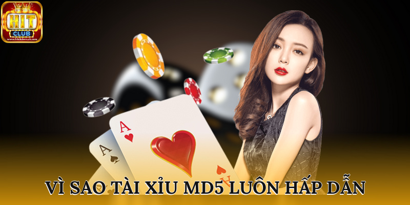 Vì sao tài xỉu MD5 luôn hấp dẫn?